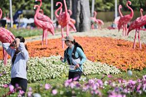 BIB: 
                            <button type="button" onclick="openModal(27793442)" class="btn btn-primary btn-sm float-right btn-popup" data-toggle="modal" data-target=".modal-high-quality">
                        <i class="fas fa-shopping-cart"></i> Add to Cart
                    </button>
                                            <button type="button" onclick="isThisMe(27793442, true)" class="btn btn-success btn-sm float-right btn-popup btn-isme hidden" data-toggle="tooltip" data-placement="bottom" title="นี่คือรูปของคุณใช่ไหม คลิกที่นี่เพื่อเอาเข้าอัลบั้ม">
                        <i class="fas fa-plus"></i> Add to album
                    </button>
                    <button type="button" onclick="isThisMe(27793442, false)" class="btn btn-warning btn-sm float-right btn-popup btn-isnotme hidden">
                        <i class="fas fa-ban"></i> Remove from album
                    </button>